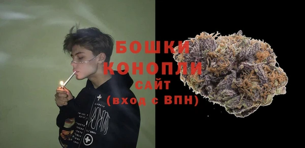 гидра Арсеньев