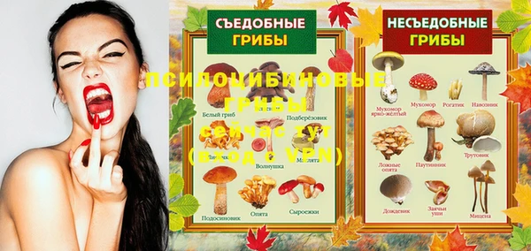 молекула духа Алзамай