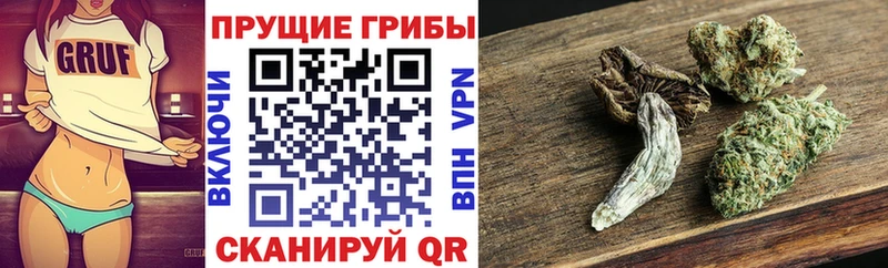 Галлюциногенные грибы Magic Shrooms  Тверь 