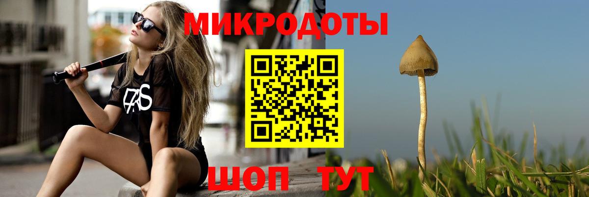 Тверь  сколько стоит  Вход с VPN  Галлюциногенные грибы мухоморы 