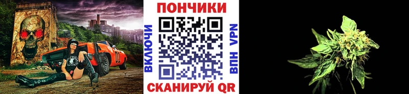 Бошки Шишки Amnesia наркотики Тверь